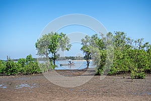 A small boat near mangrove trees during low tide, Ngwesaung, Myanmar