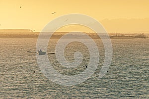 Small boat on the river at sunset.