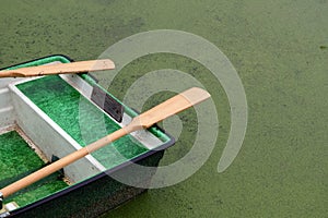 A small boat with two oars on a pond with duckweed
