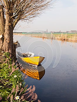 Small boat under a willow tree