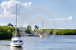 Small boats in the small palm bay