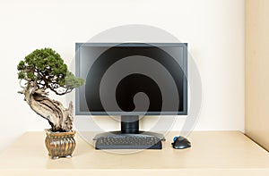 Small bonsai tree on plain office desk with monitor