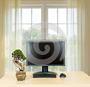 Small bonsai tree on plain office desk with monitor