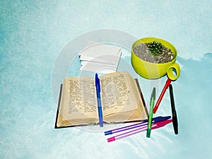 A small book - dictionary, colored pens, a stack of the sheets of paper and a cactus in a yellow pot on a light blue background