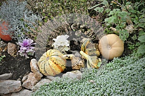 Small botanicalgarden on sunny day at the morning in island LoÅ¡inj