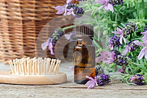 Small bottle with essential lavender oil and wooden hair brush. Lavandula flowers close up. Aromatherapy, spa, natural hair care