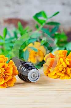Small bottle with essential marigold oil (Tagetes flowers extract, tincture, infusion).