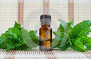 Small bottle with essential mint oil. Fresh spearmint leaves close up. Aromatherapy, spa and herbal medicine ingredients.