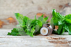Small bottle with essential mint oil on the old wooden background. Fresh spearmint leaves close up. Aromatherapy and spa.