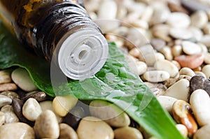 Small bottle of essential oil. Bottle and stone background with water drops.