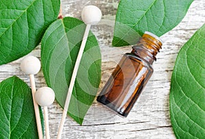 Small bottle of essential oil, diffuser reeds and fresh leaves over wooden background. Aromatherapy and spa concept.