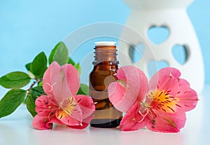 Small bottle with essential oil tincture, infusion, perfume. Red flowers close up. Aromatherapy, spa and herbal medicine