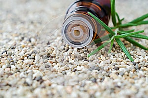 Small bottle with essential rosemary oil. Aromatherapy, spa and herbal medicine concept. Bottle dropper macro.