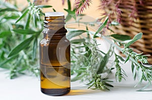 Small bottle with essential wormwood oil extract, tincture, infusion. Aromatherapy, spa and herbal medicine concept.