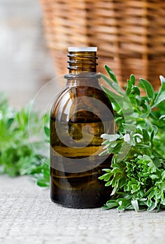 Small bottle with essential wormwood oil extract, tincture, infusion. Old wooden background. Aromatherapy and spa