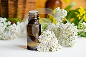 Small bottle with essential yarrow oil. Aromatherapy, herbal medicine and spa ingredient