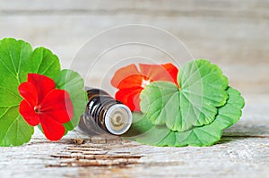 Small bottle with Geranium essential oil. Aromatherapy, homemade spa and herbal medicine ingredients.
