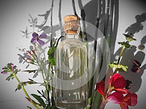 small bottle of natural essences on background of herbs and flowers