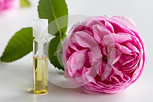 A small bottle of rose essential oil with a rose flower