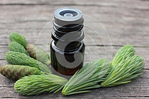 Small bottles of coniferous essential oil and green spruce tips on wooden background with copy space.