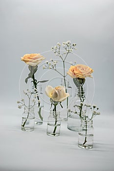 Small bottles with flowers. Yellow rose in glass with small pharmaceutical bottles on a white background.