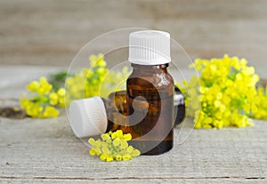 Small bottles of natural essential oil herbal or flowers extract, tincture, perfume