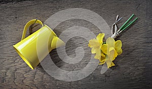 Small bouquet of daffodils and a yellow can