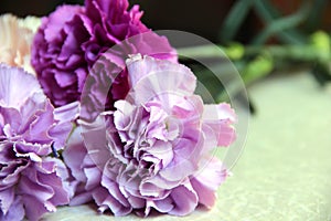 a small bouquet of flowers. lilac, purple, pink and mauve cloves. carnations in violet tones