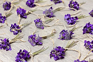 Small bouquets of fragrant forest flowers violets