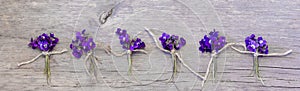 Small bouquets of fragrant forest flowers of violets photo