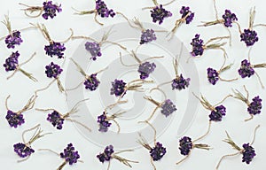 Small bouquets of fragrant forest flowers violets white background