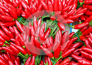 Small bouquets of red hot chillies on sale at the greengrocer