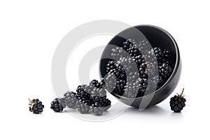 Small bowl full of fresh organic blackberries