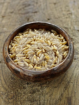 Small bowl of kamut