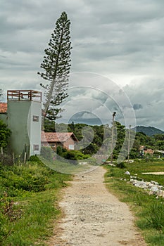 Small bowlder and sand path, a house and a typical pine tree on