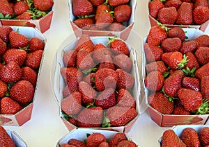 Small boxes of fresh strawberries on sale in the Cours Saleya Market in the old town of Nice, France