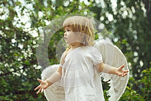 Small boy in angel wings