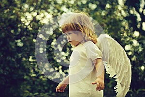 Small boy in angel wings