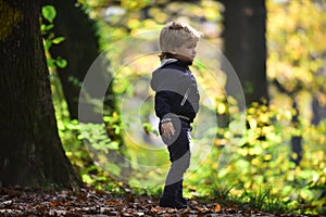 Small boy in autumn forest. Child play on fresh air outdoor. Little prince in fairy tale woods. Autumn vacation and