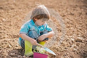 Small boy enjoy childhood years on farm. Cute little farmer working with spud on spring field. Happy little farmer