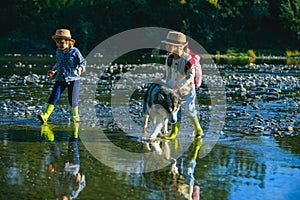 Small boy and girl is playing with the dog at the lake. A young couple with dog playing outside on the beach of a river