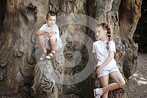 Small boy and girl by the tree