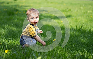 Small boy on the grass with dandelions