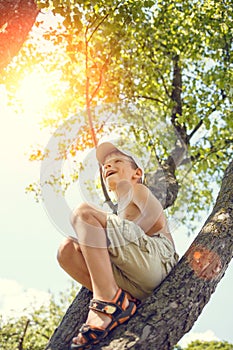 Small boy has fun climbing on the tree