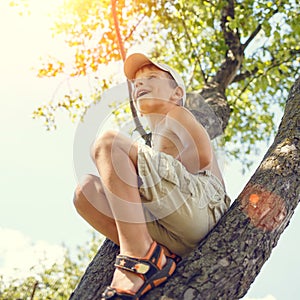 Small boy has fun climbing on the tree