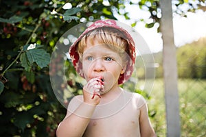 Small boy with a hat standing outdoors in garden in summer. Copy space.