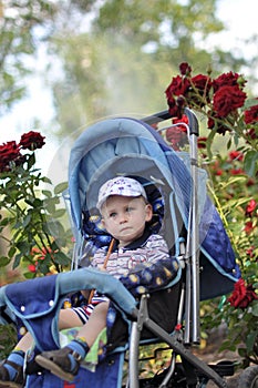 Small boy in perambulator