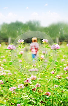 Small boy playing on a meadow