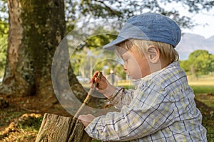 A small boy playing with twig under the big tree