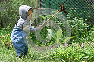 Small boy with rake